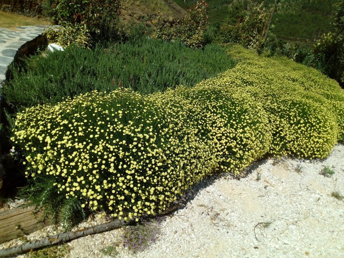 Refugio Do Raposo/Casa Deneb Villa Montes da Senhora Dış mekan fotoğraf